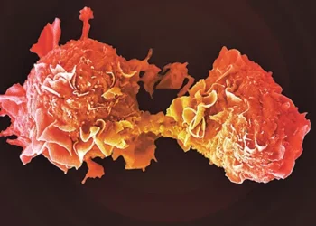 ఒక్క ఇంజెక్షన్‌తో క్యాన్సర్‌ నయం!