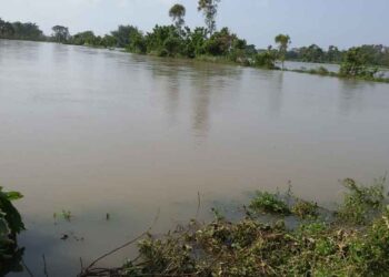 vamsadara river flood