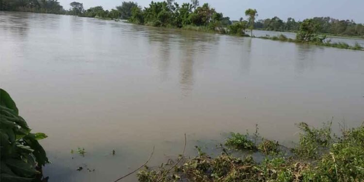 vamsadara river flood