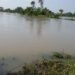 vamsadara river flood