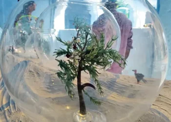 అంతరించిపోతున్న వృక్షజాతుల పరిరక్షణ అవసరం