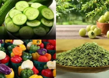 హై బీపీ సమస్య ఇబ్బంది పెడుతోందా?.. జస్ట్ ఈ సింపుల్ చిట్కాలు..