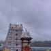 తిరుమల తాజా సమాచారం – 25-10-2025