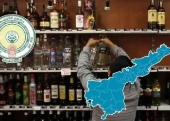 ap liquor scam bail petiton in acb court