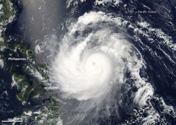 ప్రాణం కంటే ఏదీ గొప్ప కాదు!