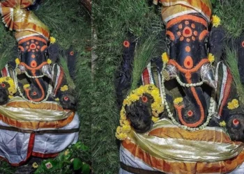 మనిషి వలె నాడి కొట్టుకునే గణపతి – నాడి గణపతి ఆలయం