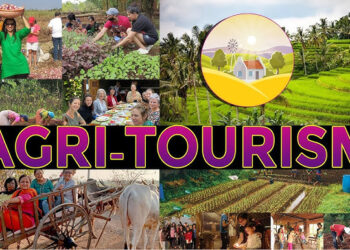 agrotourism