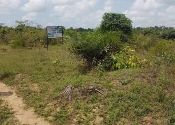 tirupati 300 acers land scam