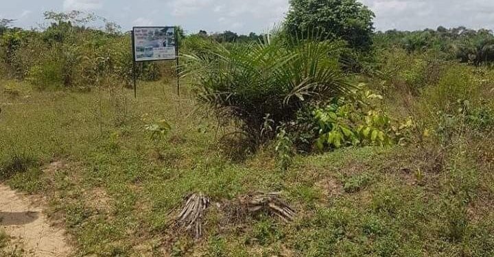 tirupati 300 acers land scam