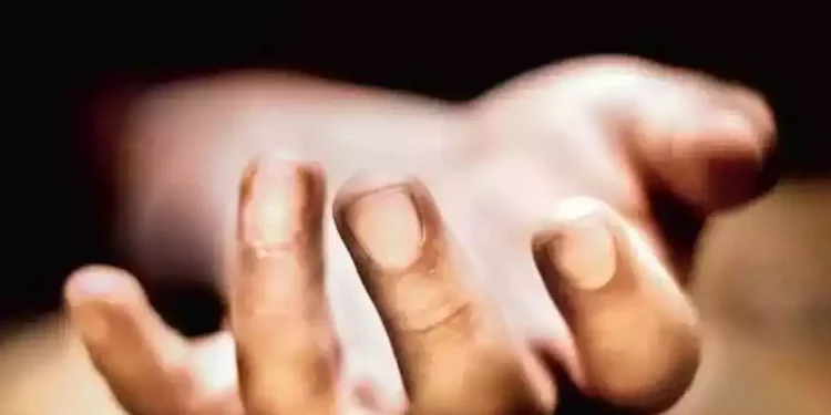 నెల్లూరు: పెన్నా బ్యారేజ్‌ సమీపంలో రెండు మృతదేహాలు కనిపించడంతో కలకలం ఏర్పడింది.