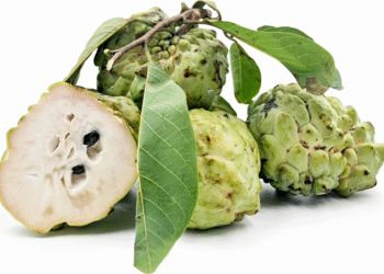 ఆస్ట్రేలియాలోని సీత