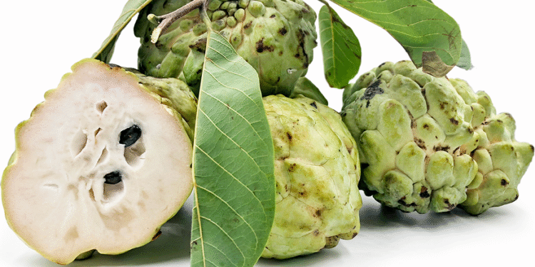 ఆస్ట్రేలియాలోని సీత