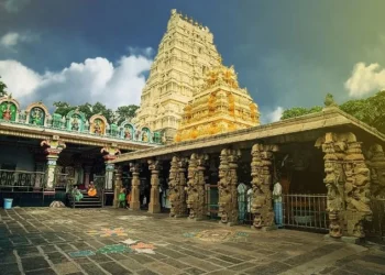 శ్రీశైల శిఖరాన్ని దర్శించినవారికి పునర్జన్మ ఉండదంటారు — అది నిజమో కాదో ఒకసారి తెలుసుకుందాం.