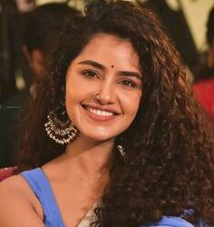 అనుపమ పరమేశ్వరన్‌పై ఆన్‌లైన్‌లో వేధింపులు