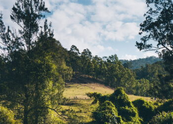 చట్టం మరచి, చుట్టాలు అయ్యారు.