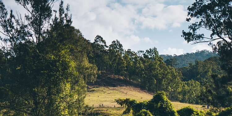 చట్టం మరచి, చుట్టాలు అయ్యారు.
