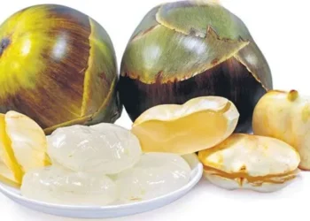 ఎదురుకంటే ముందే తాటిముంజలు వచ్చేశాయి!