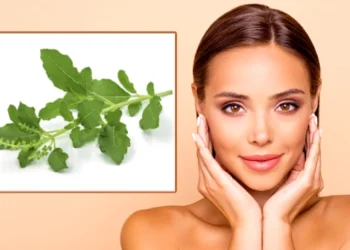 సౌందర్య రహస్యం ‘తులసి’లోనే!