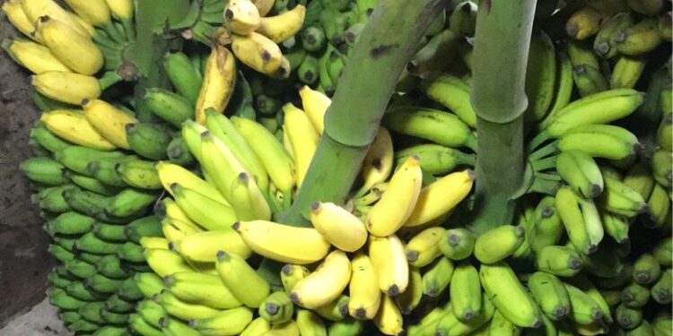 అష్టభుజాల విస్తార హస్తం