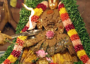 తిరుమలలో భక్తుల రద్దీ సాధారణంగా ఉంది.