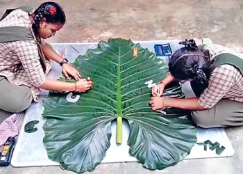 ఆకుపై ఆకర్షణ కలిగించిన రాజముద్ర!