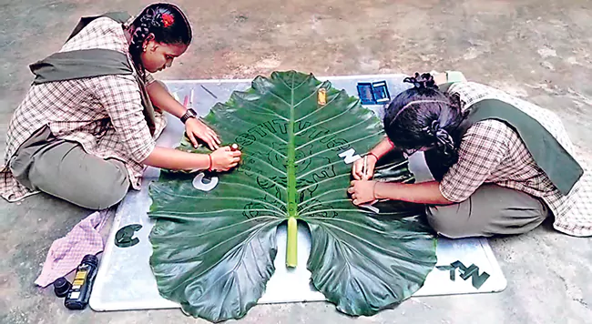 ఆకుపై ఆకర్షణ కలిగించిన రాజముద్ర!