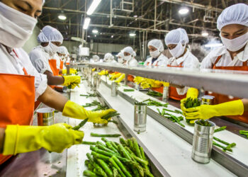 మీకు నిజంగా ఉత్సాహం ఉంటే… మేము మీకు అన్ని విధాలా అండగా ఉంటాం.