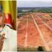 సీఎం చంద్రబాబు: రెండో దశ భూ సమీకరణ తప్పనిసరి 8 సీఎం చంద్రబాబు: రెండో దశ భూ సమీకరణ తప్పనిసరి