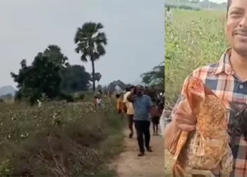 పొలాల్లో 2 వేల నాటుకోళ్లను వదిలిపెట్టడంతో, వాటిని చూడటానికి, పట్టుకోవటానికి స్థానికులు ఆసక్తిగా చేరుకున్నారు.