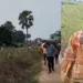 పొలాల్లో 2 వేల నాటుకోళ్లను వదిలిపెట్టడంతో, వాటిని చూడటానికి, పట్టుకోవటానికి స్థానికులు ఆసక్తిగా చేరుకున్నారు.