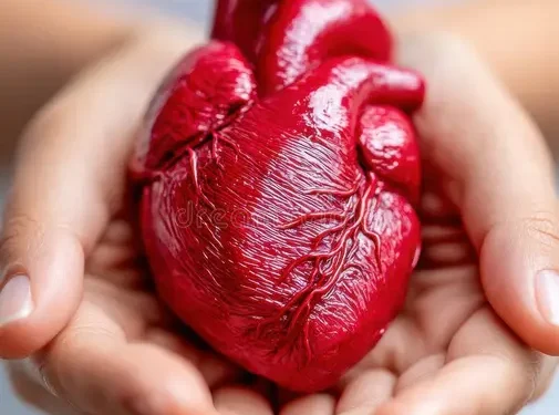 చిట్టి గుండె తడబాటుకు గురవుతోంది.