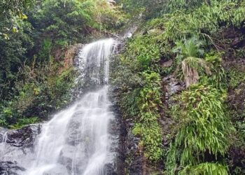 భైరవకోన జలపాతం వద్ద ప్రకృతి సోయగాలు అలరారుతున్నాయి.. పర్యాటకులతో కిటకిటలాడుతున్న ప్రాంతం.