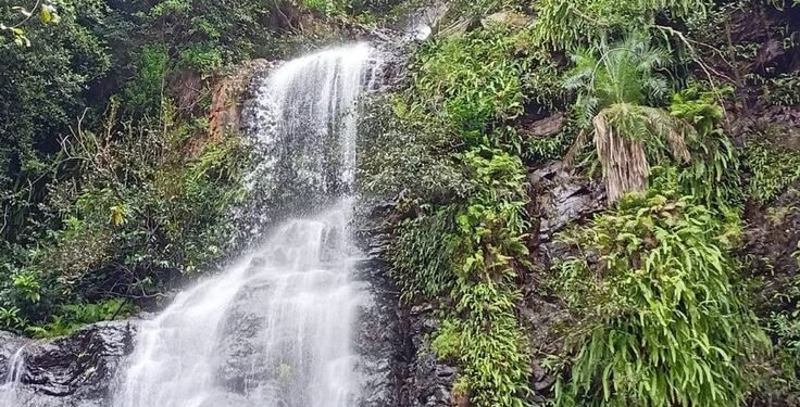 భైరవకోన జలపాతం వద్ద ప్రకృతి సోయగాలు అలరారుతున్నాయి.. పర్యాటకులతో కిటకిటలాడుతున్న ప్రాంతం.