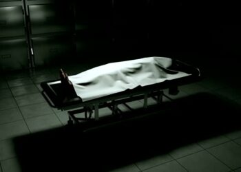 భీమవరంలో సంచలన ఘటన.. కత్తితో దాడి చేసి తల్లి, తమ్ముడిని హతమార్చిన వ్యక్తి