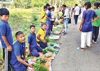 అస్సాం విద్యార్థులు పెరటి కూరగాయల విక్రయంతో చదువుకు సహాయం చేస్తున్నారు