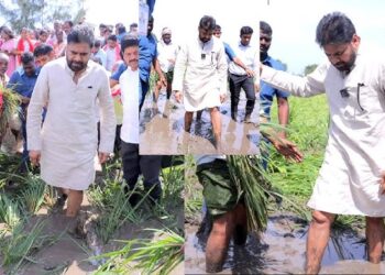 కొబ్బరి రైతు రోడ్డున పడకపోవడం మనందరి బాధ్యత