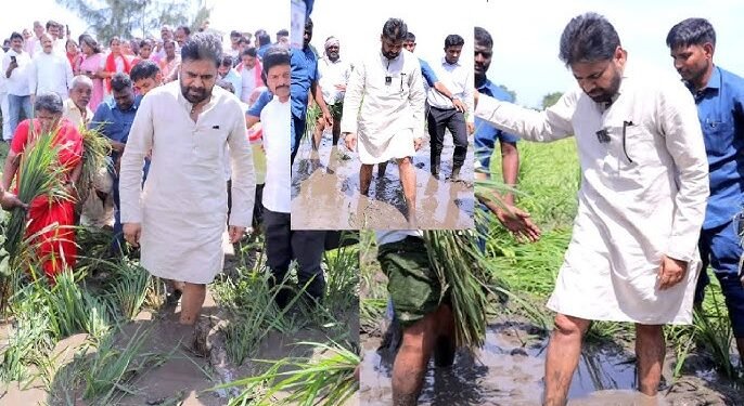 కొబ్బరి రైతు రోడ్డున పడకపోవడం మనందరి బాధ్యత