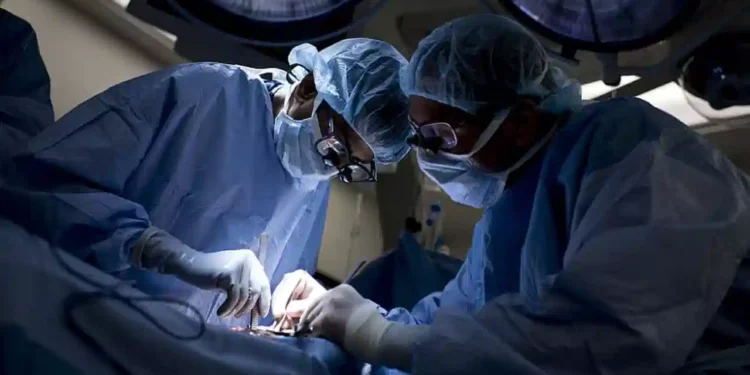 మదనపల్లె: కిడ్నీ రాకెట్ కేసులో వైద్య అధికారులు బృందం విచారణ నిర్వహిస్తోంది.