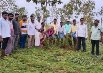 రైతులకు పూర్తి సహాయంగా ఉంటాం
