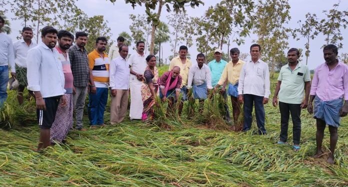 రైతులకు పూర్తి సహాయంగా ఉంటాం