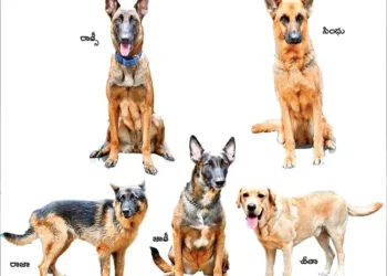 వాటి జీవితం పూర్తిగా భిన్నమే!