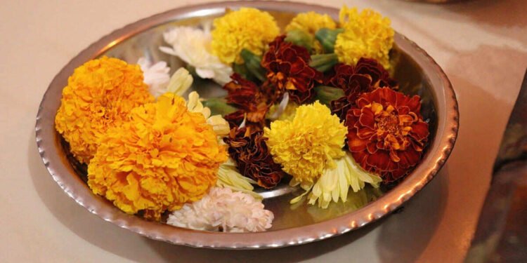 విస్తరించవద్దు… ఉపయోగంలోకి వస్తాయి!