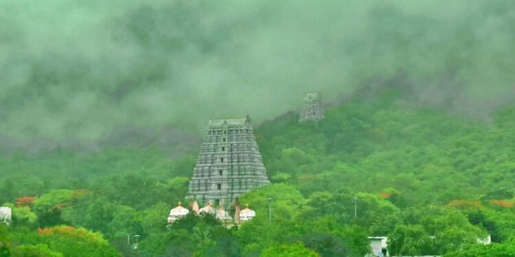 తిరుమలలో ఆహ్లాదకర వాతావరణం