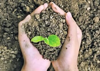 రైతుల కోసం అందుబాటులోకి వచ్చిన ‘సాయిల్‌ టెస్టింగ్‌ కిట్‌’