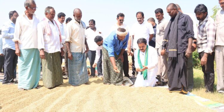 ధాన్యం రవాణాకు ప్రత్యేక రైలు: మంత్రి నాదెండ్ల