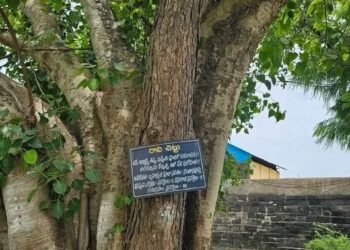 మానవాళికి ఎక్కువ లబ్ది చేకూరాలంటే ఏయే చెట్లు నాటాలి….!!