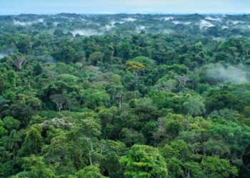 తెలంగాణ రైజింగ్ విజన్ 2047: పచ్చదనం పరవళిస్తుండేలా.. జీవవైవిధ్యం పూలమాలలా!