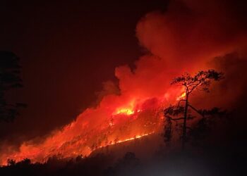 అరుణాచల్ అడవుల్లో కార్చిచ్చు.. మంటలు అదుపు చేసేందుకు వైమానిక దళం చర్యలు