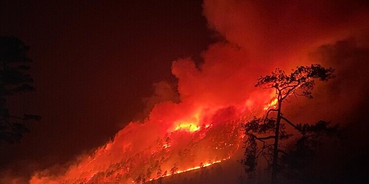 అరుణాచల్ అడవుల్లో కార్చిచ్చు.. మంటలు అదుపు చేసేందుకు వైమానిక దళం చర్యలు
