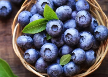 ఈ పండు తింటే జ్ఞాపకశక్తి పెరుగుతుందా?